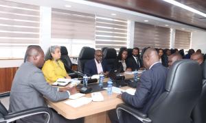 Consultative meeting for the Green Buildings Standards Development Project